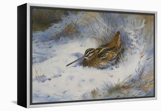 A Snipe in the Snow-Archibald Thorburn-Framed Premier Image Canvas