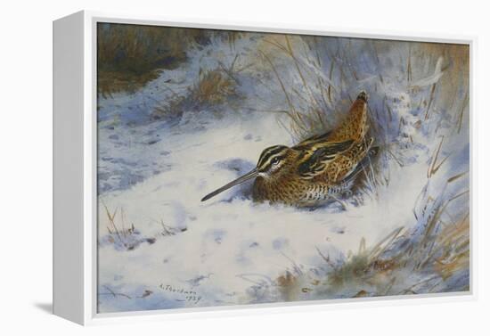 A Snipe in the Snow-Archibald Thorburn-Framed Premier Image Canvas