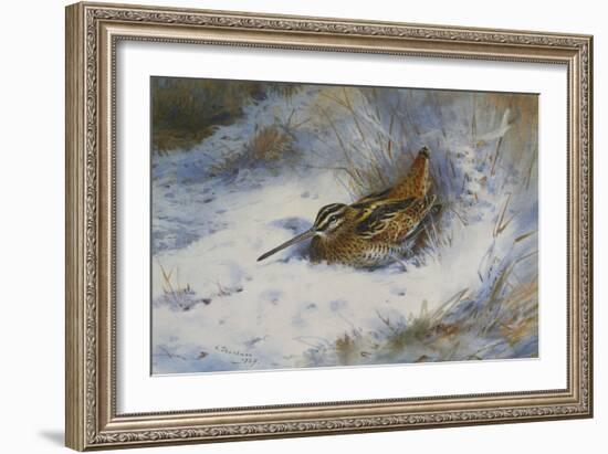 A Snipe in the Snow-Archibald Thorburn-Framed Giclee Print