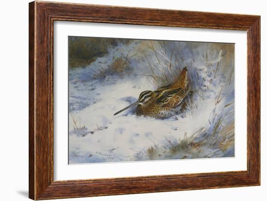 A Snipe in the Snow-Archibald Thorburn-Framed Giclee Print