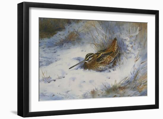 A Snipe in the Snow-Archibald Thorburn-Framed Giclee Print