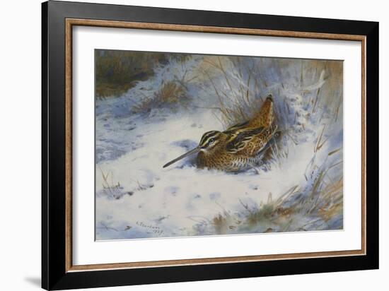 A Snipe in the Snow-Archibald Thorburn-Framed Giclee Print