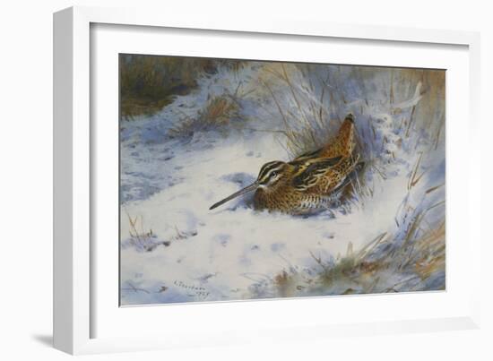 A Snipe in the Snow-Archibald Thorburn-Framed Giclee Print