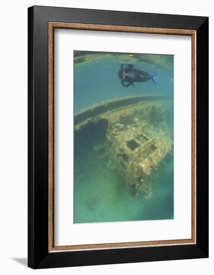A Snorkeler Swims Above a Shipwreck in Palau's Inner Lagoon-Stocktrek Images-Framed Photographic Print