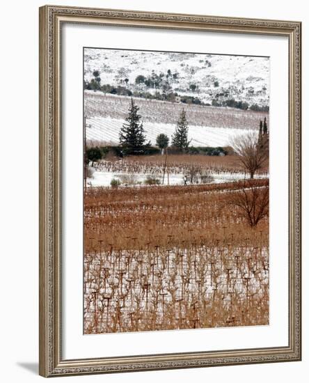 A Snow-Covered Vineyard is Seen During a Snowfall-null-Framed Photographic Print