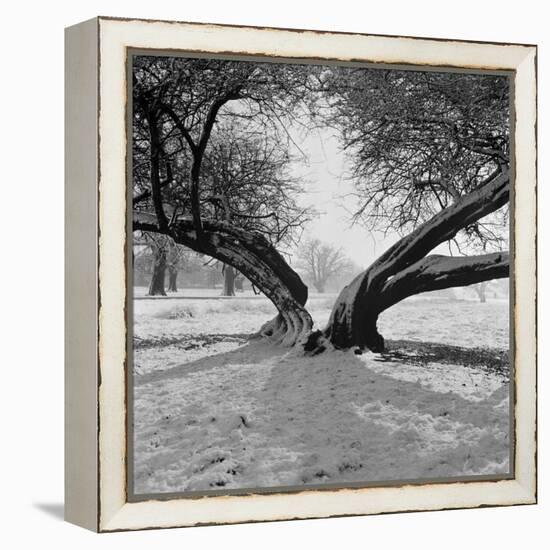 A Snow Scene in Richmond Park, Greater London-John Gay-Framed Stretched Canvas