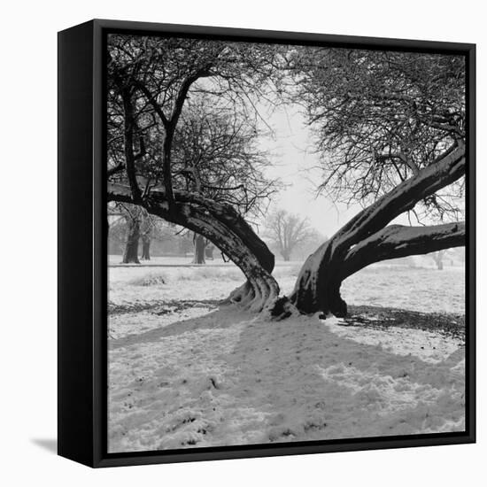 A Snow Scene in Richmond Park, Greater London-John Gay-Framed Stretched Canvas