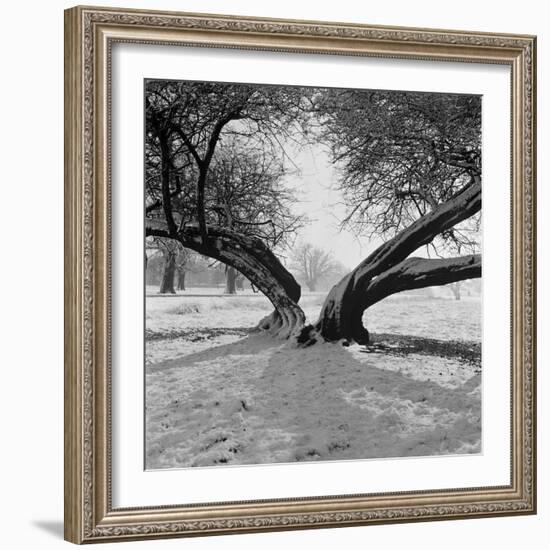 A Snow Scene in Richmond Park, Greater London-John Gay-Framed Photographic Print