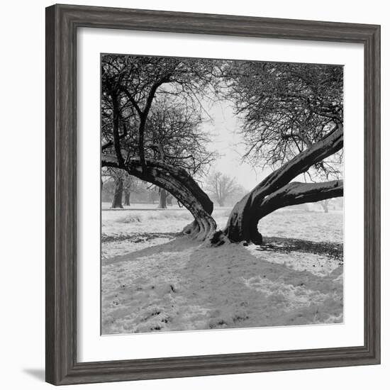 A Snow Scene in Richmond Park, Greater London-John Gay-Framed Photographic Print