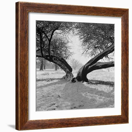 A Snow Scene in Richmond Park, Greater London-John Gay-Framed Photographic Print