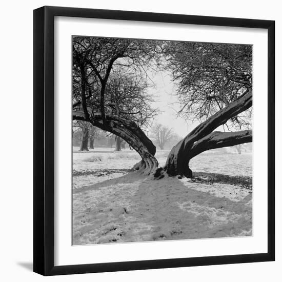 A Snow Scene in Richmond Park, Greater London-John Gay-Framed Photographic Print