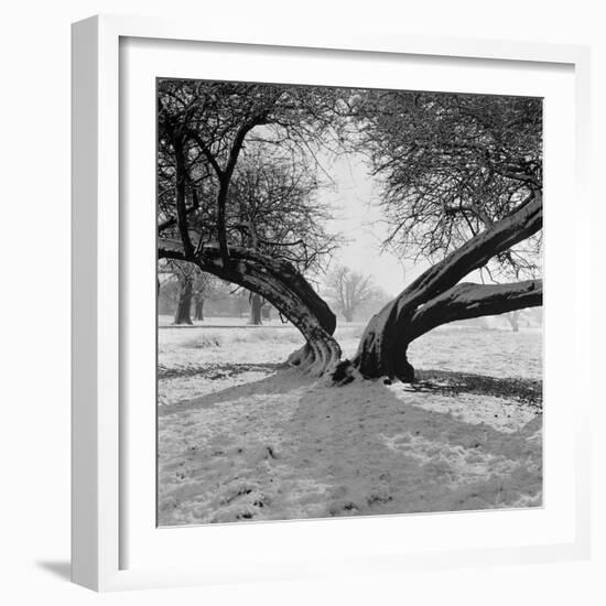 A Snow Scene in Richmond Park, Greater London-John Gay-Framed Photographic Print