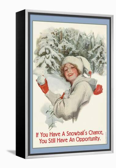 A Snowball's Chance-null-Framed Stretched Canvas