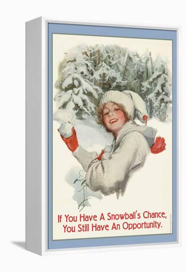 A Snowball's Chance-null-Framed Stretched Canvas