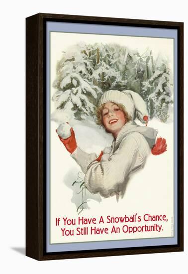 A Snowball's Chance-null-Framed Stretched Canvas