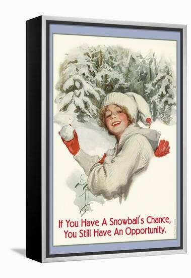A Snowball's Chance-null-Framed Stretched Canvas
