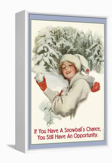 A Snowball's Chance-null-Framed Stretched Canvas