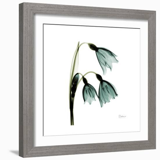 A Snowdrop Day-Albert Koetsier-Framed Premium Giclee Print