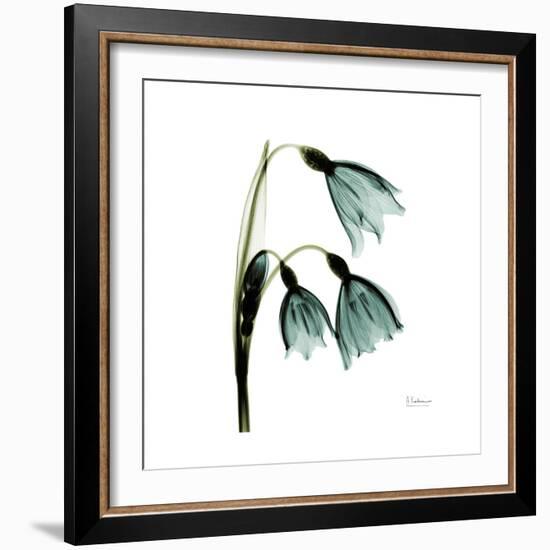 A Snowdrop Day-Albert Koetsier-Framed Premium Giclee Print