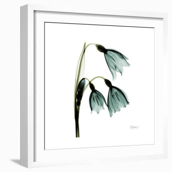 A Snowdrop Day-Albert Koetsier-Framed Premium Giclee Print