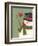 A Snowman with a Cardinal Perched on His Arm-Beverly Johnston-Framed Giclee Print