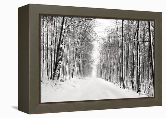 A Snowy Walk III-James McLoughlin-Framed Premier Image Canvas