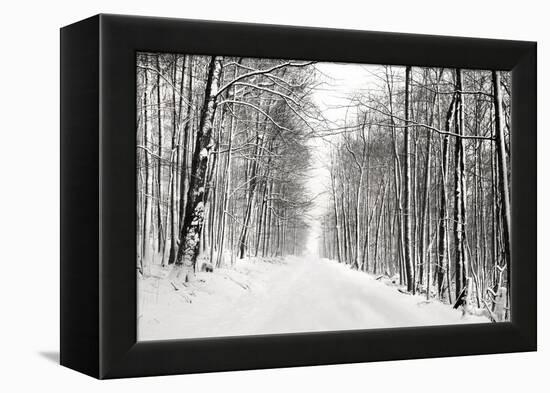 A Snowy Walk III-James McLoughlin-Framed Premier Image Canvas