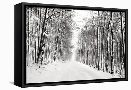 A Snowy Walk III-James McLoughlin-Framed Premier Image Canvas