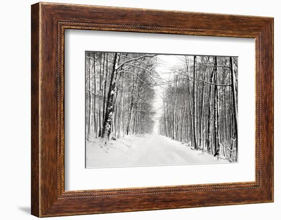 A Snowy Walk III-James McLoughlin-Framed Photographic Print