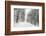 A Snowy Walk III-James McLoughlin-Framed Photographic Print