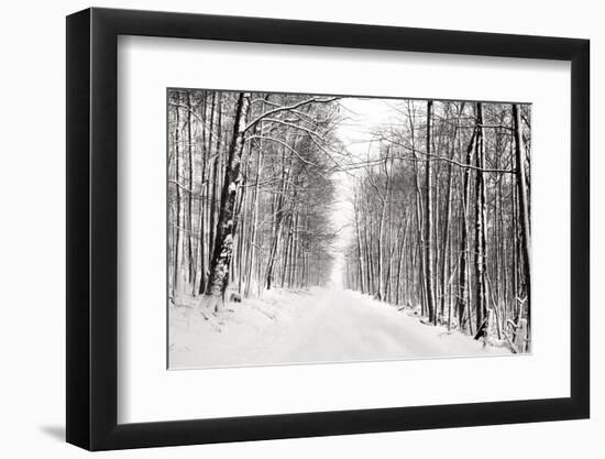 A Snowy Walk III-James McLoughlin-Framed Photographic Print