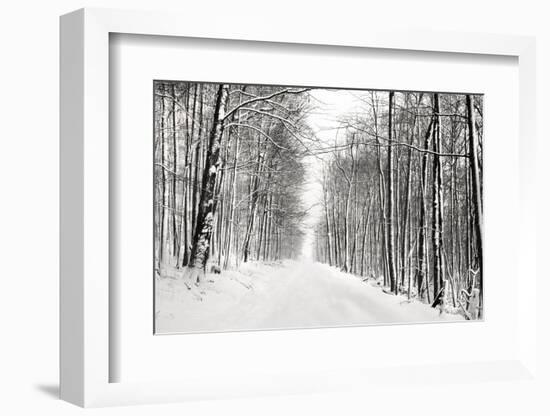 A Snowy Walk III-James McLoughlin-Framed Photographic Print