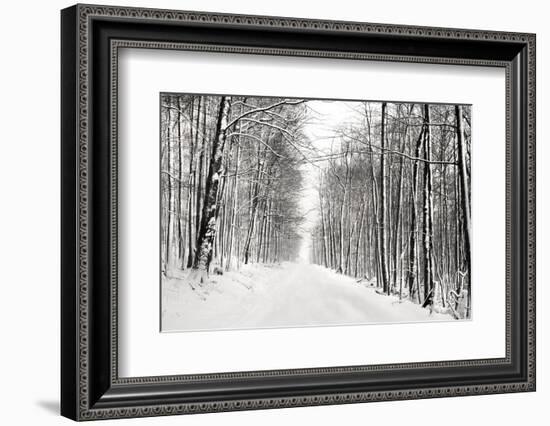 A Snowy Walk III-James McLoughlin-Framed Photographic Print