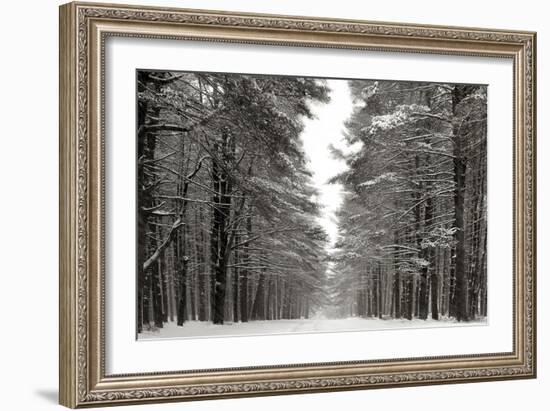 A Snowy Walk IV-James McLoughlin-Framed Art Print