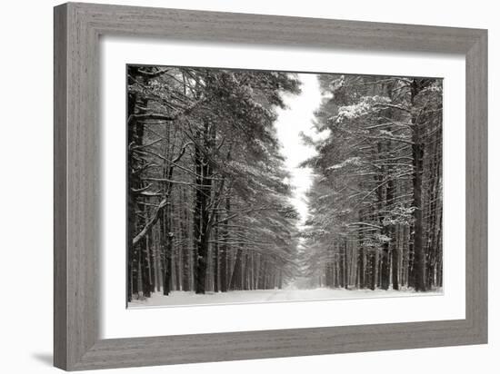 A Snowy Walk IV-James McLoughlin-Framed Art Print