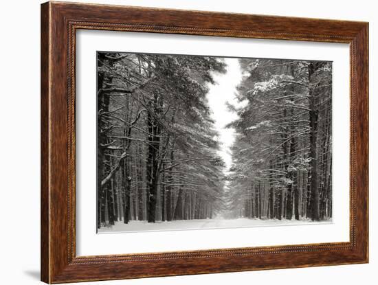 A Snowy Walk IV-James McLoughlin-Framed Art Print