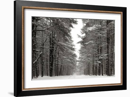 A Snowy Walk IV-James McLoughlin-Framed Art Print