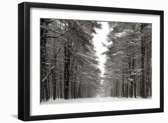 A Snowy Walk IV-James McLoughlin-Framed Art Print