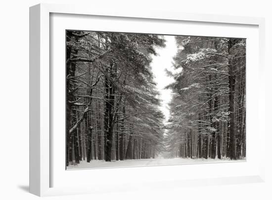 A Snowy Walk IV-James McLoughlin-Framed Art Print