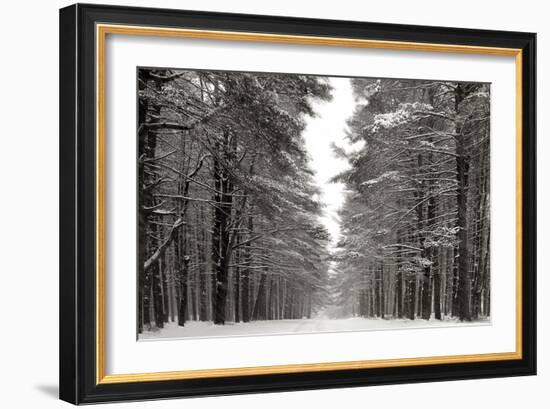 A Snowy Walk IV-James McLoughlin-Framed Art Print