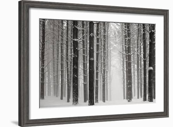 A Snowy Walk V-James McLoughlin-Framed Photographic Print