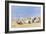 A Sociable Afternoon on the Beach-Frederik Hendrik Kaemmerer-Framed Giclee Print