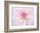 A soft touch of summer-Heidi Westum-Framed Photographic Print