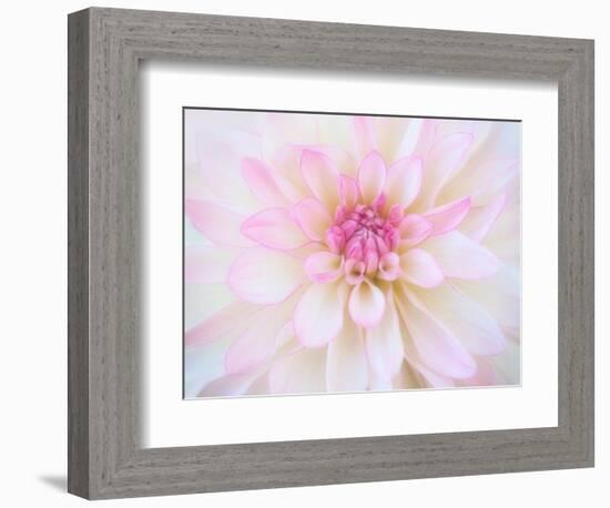 A soft touch of summer-Heidi Westum-Framed Photographic Print