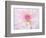 A soft touch of summer-Heidi Westum-Framed Photographic Print