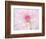 A soft touch of summer-Heidi Westum-Framed Photographic Print