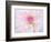 A soft touch of summer-Heidi Westum-Framed Photographic Print