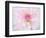 A soft touch of summer-Heidi Westum-Framed Photographic Print