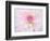 A soft touch of summer-Heidi Westum-Framed Photographic Print