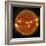 A Solar Flare Erupting on the Left Side of the Sun-null-Framed Premium Giclee Print